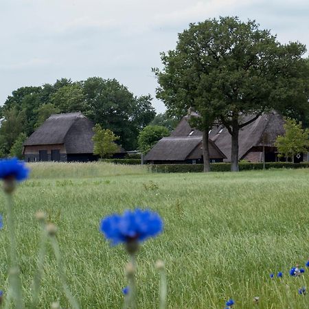Gastenverblijf Lheederhof Dwingeloo Eksteriør bilde